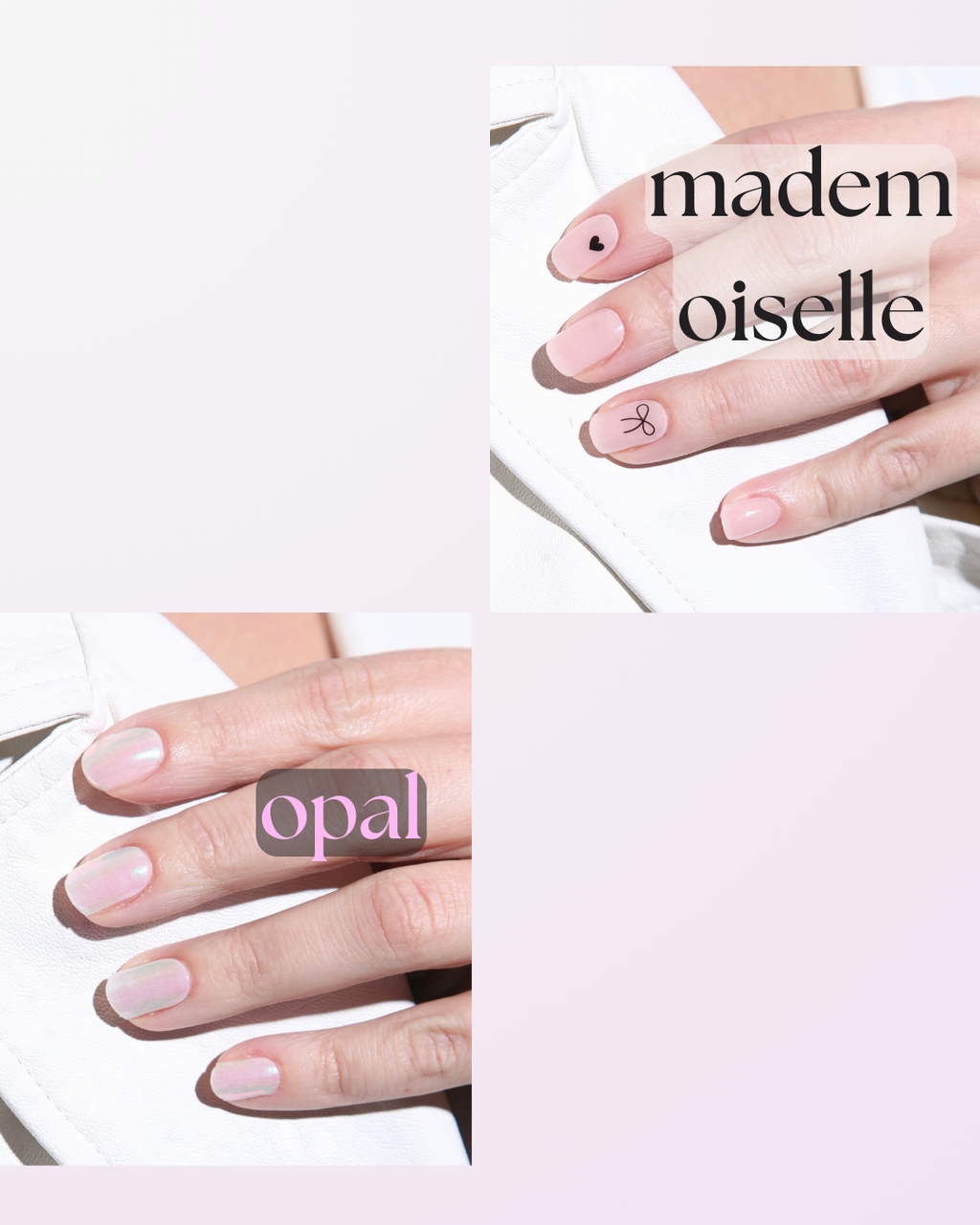 The Starter Kit
