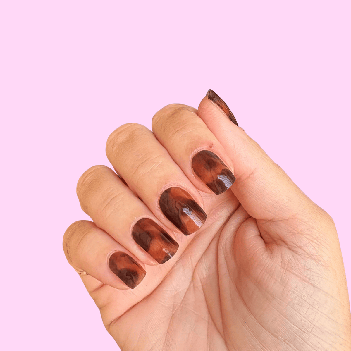 Strisce Gel Tortie