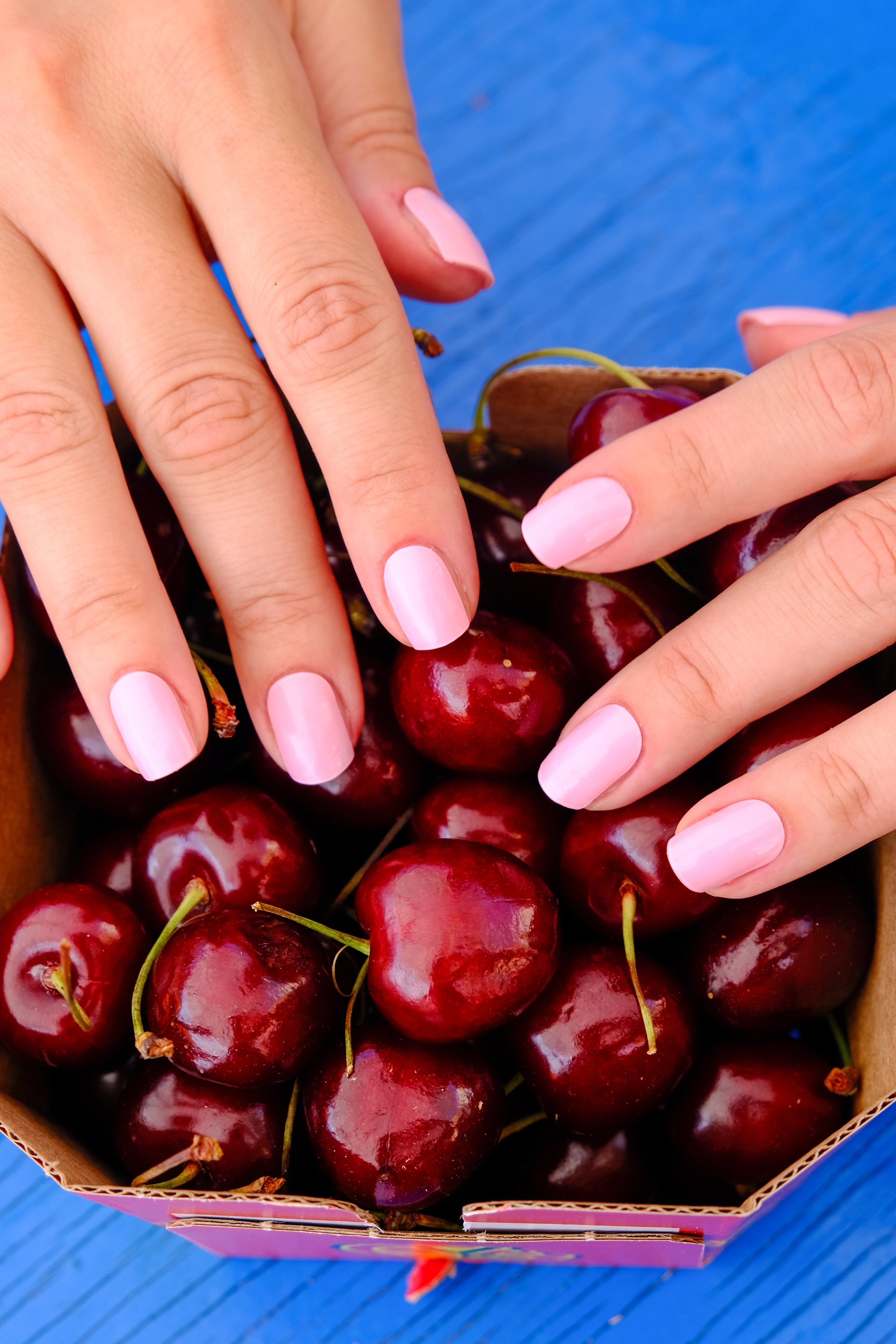 Strisce Gel Tulip